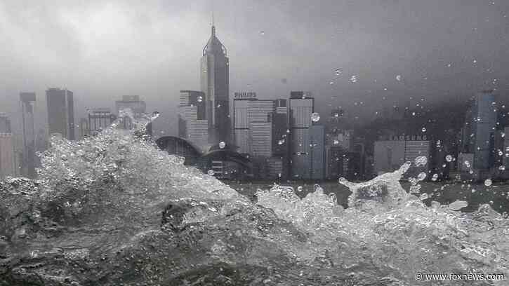 New box jellyfish found near Hong Kong in 1st discover of the venomous species in China’s waters