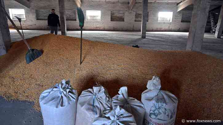 Bulgaria becomes latest EU country to ban Ukrainian grain imports following protests from local farmers