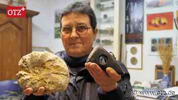 Saurier-Fußabdruck und historische Münzen: Heimatmuseum Stiebritz meldet sich zurück