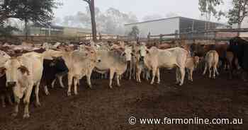 All in one grazing and quarrying operation