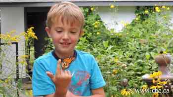 Feel hopeless about our planet? Here's how you can help solve a big problem right in your own backyard