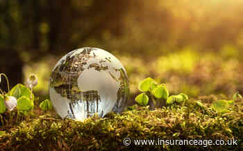 Brokers show lack of urgency towards net zero