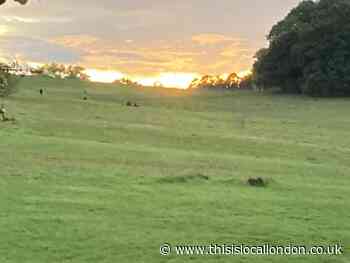 Met officer charged with indecency on Hampstead Heath