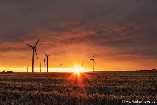 Ideen für eine grüne Zukunft: Ungewöhnliche und umweltfreundliche Umsetzungsstrategien