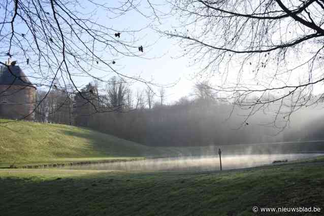 Schoolbegeleiders veroordeeld tot celstraffen met uitstel na verdrinking van 4-jarige kleuter tijdens klasuitstap in Gaasbeek