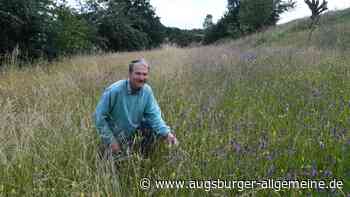Von Müllkonzept bis Artenschutz: Darum kämpfen Augsburgs Naturschützer