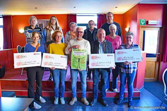 Inschrijvingsgeld garageverkoop verdeeld over vier goede doelen