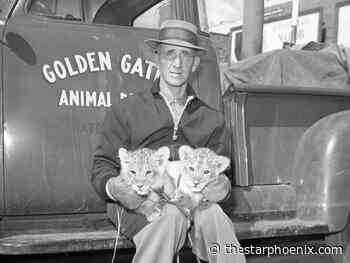 Saskatoon's first lion cubs introduced at animal farm in 1961