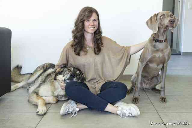 Fotografe Annelies (33) organiseert minikleurenfestival voor hond én baasje: “Corona heeft mijn passie doen oplaaien”