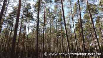 Der Nordschwarzwald: Vom Urwald zum Kulturwald