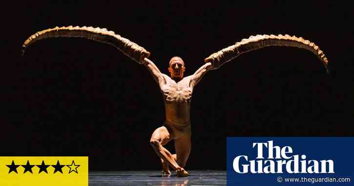 Nederlands Dans Theater review – a moving menagerie from a world in crisis