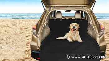 Snag this water-resistant SUV cargo liner for dogs right now for less than $13 at Amazon