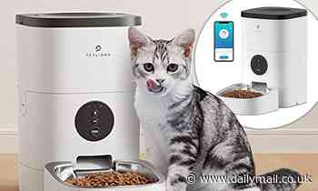 This clever cat feeder allows you to feed your cats wherever you are - using a mobile app