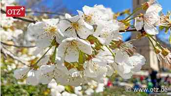 Jenaer Klimaaktionsplan ist beschlossen. Was das bedeutet für die Bürger