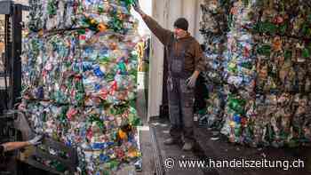 Grüne Gelegenheiten