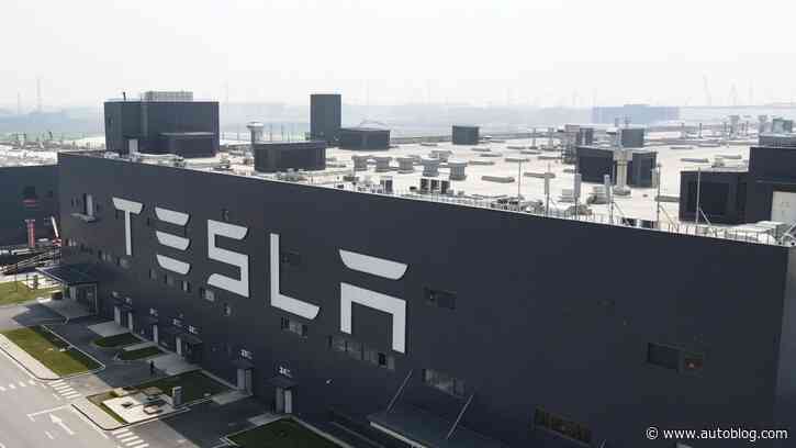 Tesla factory where a worker was crushed to death had safety weaknesses, report says