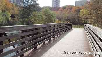 12-year-old boy arrested in connection with 6 sexual assaults on Toronto walking trails