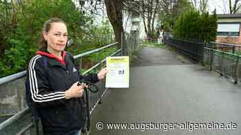 Hund gesucht: Der Malteser-Rüde "Flocki" ist spurlos verschwunden