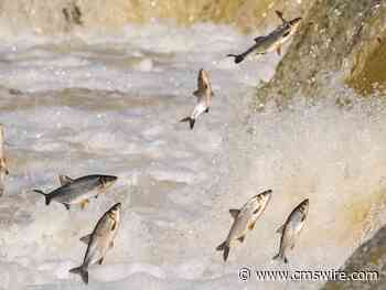 The Troubled Migration to Cloud Contact Centers