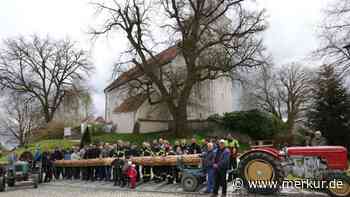 Schlüter-Oldtimer bringt den Aufkirchener Maibaum heim