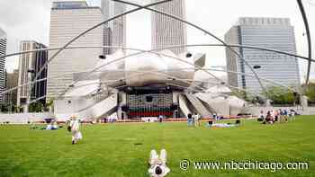 No Injuries Reported After Gunfire Shatters Hotel Window Near Millennium Park