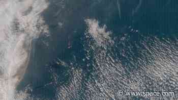 SpaceX Starship's debut launch attempt seen from space (satellite photo)