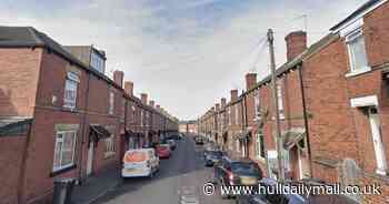 Boy mauled by dog saved by neighbours 'grabbing its genitals'