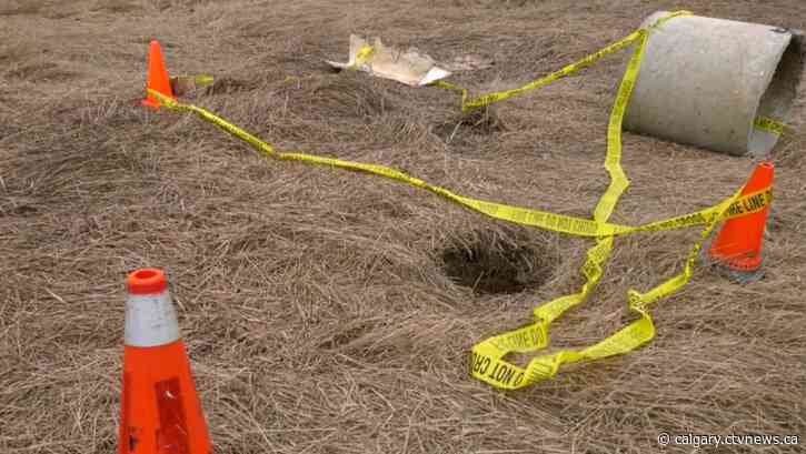 Alberta man, dog survive after being stuck in abandoned septic tank