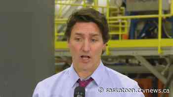 Construction of Saskatoon rare earths processing plant put on pause