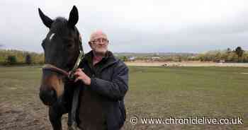 Overrunning Tyne and Wear Metro upgrade works leave neighbouring stables 'on its knees'