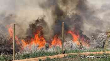Police open criminal probe after campfire-sparked blaze threatened homes in Kamloops, B.C.