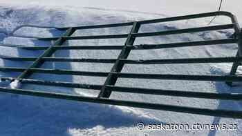 Sask. couple says RCMP not doing enough about theft from their acreage