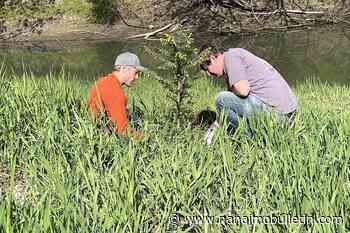 The federal government promised to plant 2 billion trees by 2030, it’s nowhere close