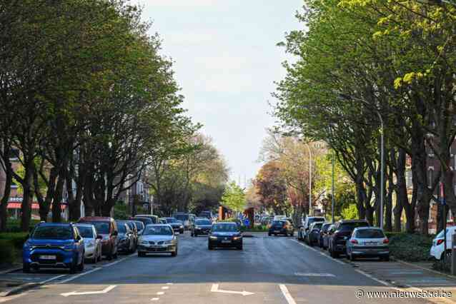 Districtsraad buigt zich over Ter Rivierenlaan: “Inspraakmoment? Het kleuteruurtje, zo wordt het genoemd in de wijk”