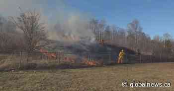 Dry spring leaves N.B. fire departments responding to more grass fires