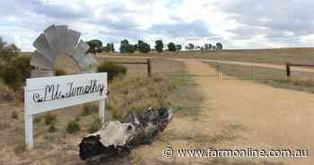 Mallee grazing at Mt Timothy has lots of potential