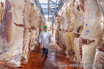 North America Meat Institute recognizes top processing plants