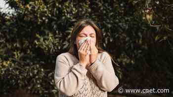 3 Solutions for Your Spring Allergy Woes     - CNET