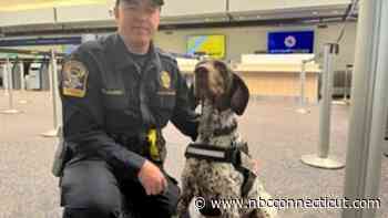 State Troopers Demonstrate TSA K9s Detecting Danger at Bradley Airport