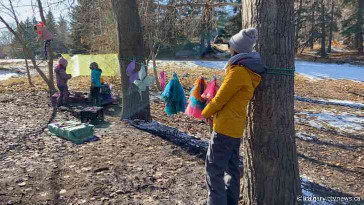 Outdoor play conference encourages childhood educators to embrace nature