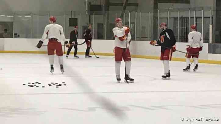 Calgary Wranglers captain Brett Sutter hopes to finally hoist Calder Trophy