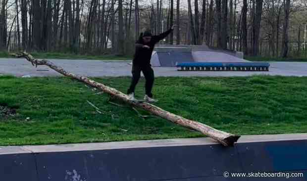 When Skateboarding And Nature Collide: Watch This Wavy Boardslide On A Fallen Tree