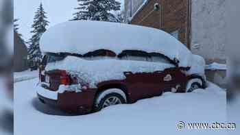 Travel warnings remain in effect as Sask. snowstorm tapers off