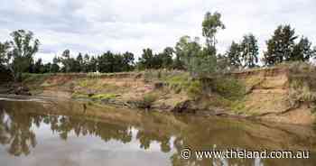 'History repeating itself': How council could have prevented erosion along the Macquarie River