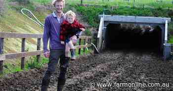Livestock underpasses boost productivity on SA dairies