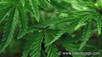 Wisconsin GOP Lawmakers Working on Medical Cannabis Legalization