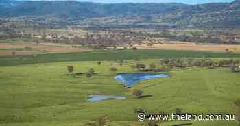 Negotiations continue on river cattle aggregation