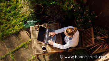 Immobilien: Nur eine scheinbare Idylle – Warum Frankreichs Landbewohner immer unzufriedener sind