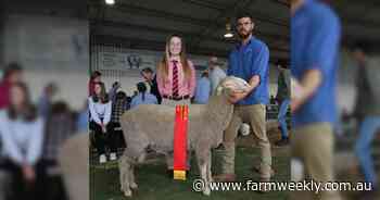 Sunny View stud wins autumn shorn classes