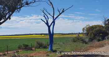Wake up call on farmer wellbeing
